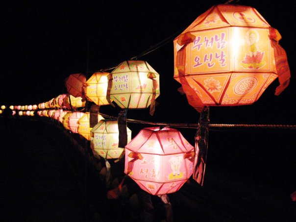 [n550671137_679017_501[1].jpg]